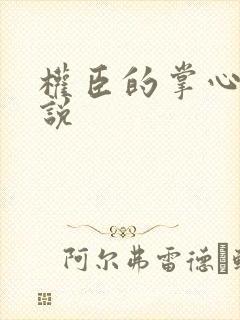 权臣的掌心宠小说
