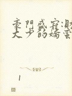 豪门盛宠:财阀大少的娇蛮妻 小说