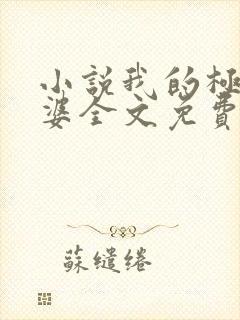 小说我的极品老婆全文免费阅读