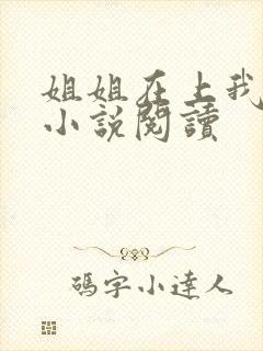 姐姐在上我在下小说阅读