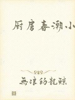 厨房春潮小说