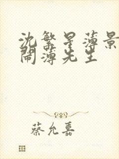 沈繁星薄景川别闹薄先生
