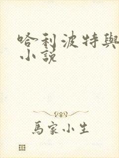 哈利波特与密室小说