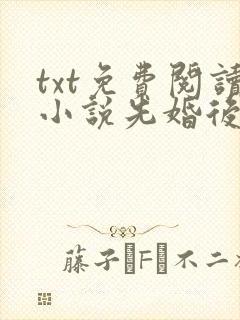 txt免费阅读小说先婚后爱