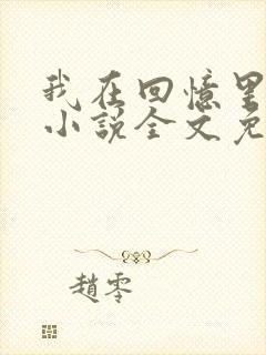 我在回忆里等你小说全文免费阅读