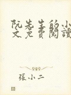 阮先生的小说全文免费阅读无弹窗