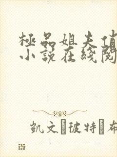 极品姐夫俏小姨小说在线阅读全文免费封面