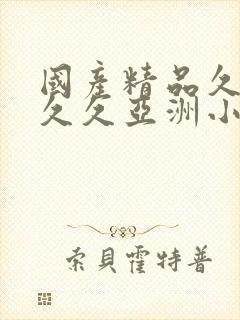 国产精品久久久久久亚洲小说封面