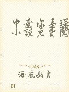 中意你秦琛苏沫小说免费阅读