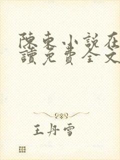 陈东小说在线阅读免费全文