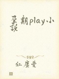 孕期play小说