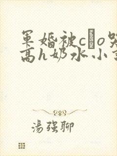 军婚被cαo哭高h奶水小说封面