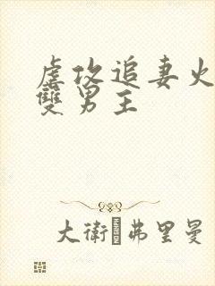 虐攻追妻火葬场双男主封面