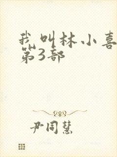 我叫林小喜乖宝第3部封面