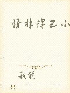情非得已小说封面