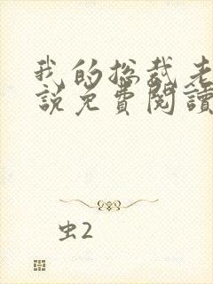 我的总裁老婆小说免费阅读