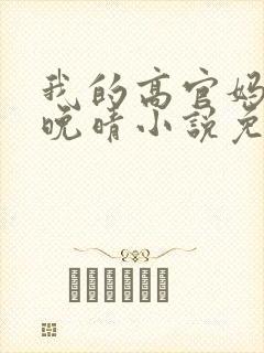 我的高官妈妈苏晚晴小说免费阅读