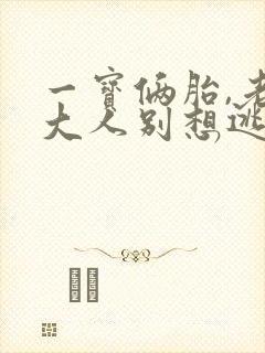 一宝俩胎,老婆大人别想逃