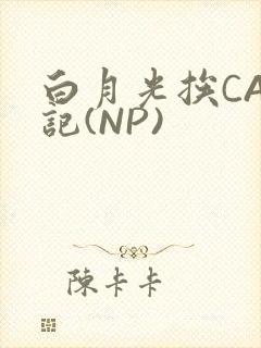 白月光挨CAO记(NP)