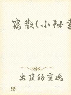 窃欢(小秘书)