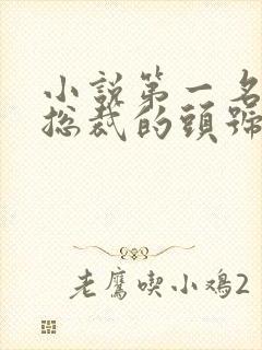 小说第一名媛,总裁的头号新妻txt