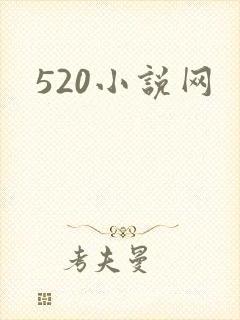 520小说网封面