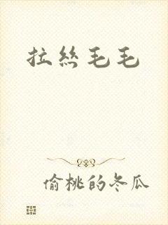 拉丝毛毛
