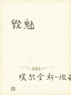 毁魅