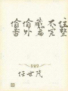 偷偷藏不住婚后番外篇完整版