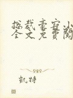 总裁豪宠小宝贝全文免费阅读全文封面
