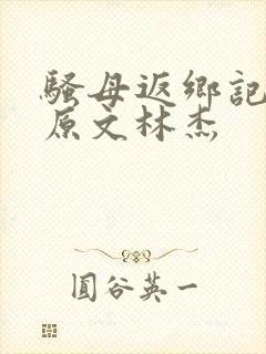 骚母返乡记全文原文林杰