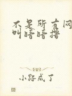 不是所有网站都叫暗暗撸