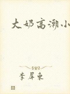 大奶高潮小说