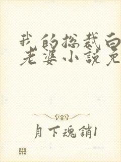 我的总裁白富美老婆小说免费读