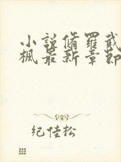 小说修罗武神楚枫最新章节阅续封面