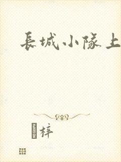 长城小队上中下封面