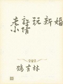 老许玩新婚少妇小倩