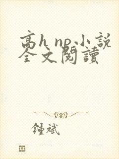 高h np小说全文阅读