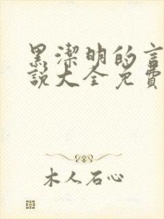 黑洁明的言情小说大全免费阅读封面