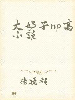 大奶子np高h小说