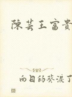 陈芸王富贵小说