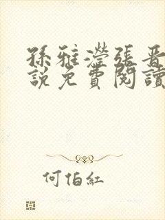 孙雅滢张晋的小说免费阅读无弹窗