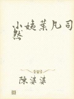小姨叶凡司空嫣然封面