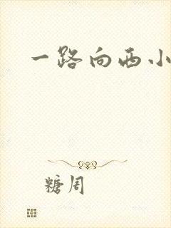 一路向西小说