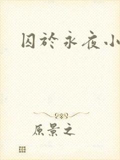 囚于永夜小说封面