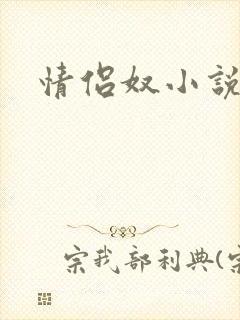情侣奴小说