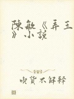 陈敏《弄玉偷香》小说