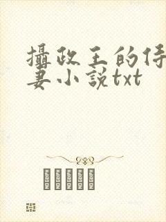 摄政王的侍爱逃妻小说txt