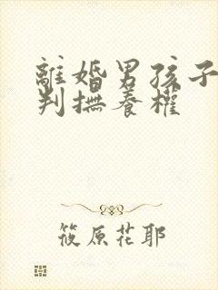 离婚男孩子怎么判抚养权
