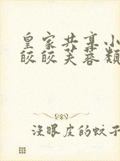 皇家共享小公主皎皎芙蓉类小说
